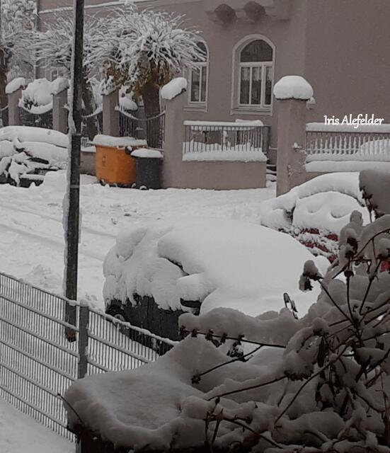 Foto: Iris Alefelder