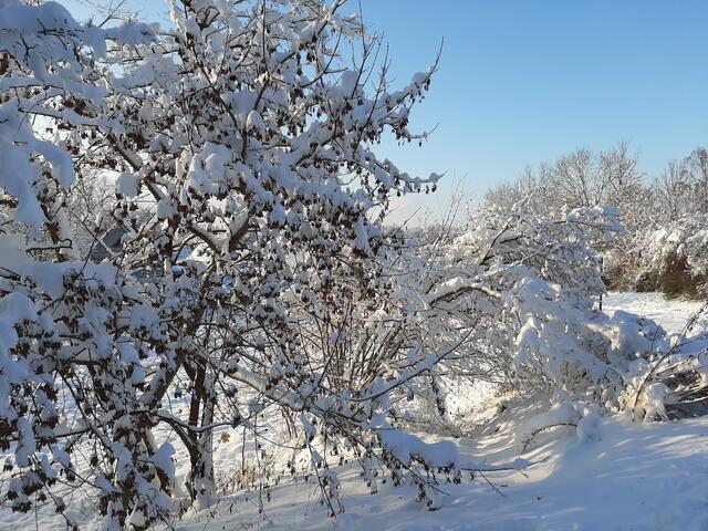 Herrliche Landschaft im Schnee | Foto: Marianne Stenglein