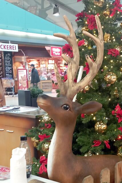 Ich steh nicht im Wald, sondern vor dem Plätzchenblech