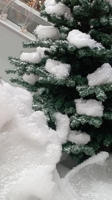 Tanne im Schneegestöber