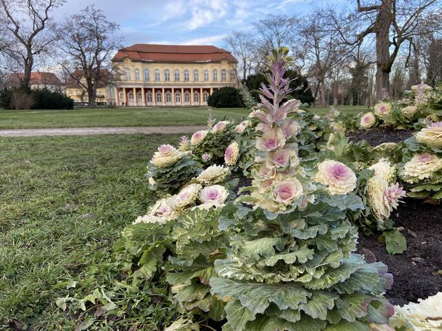 Schlossgartensalon im Hintergrund