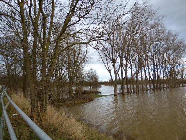 Blick von der Brücke zu den Koldinger Teichen