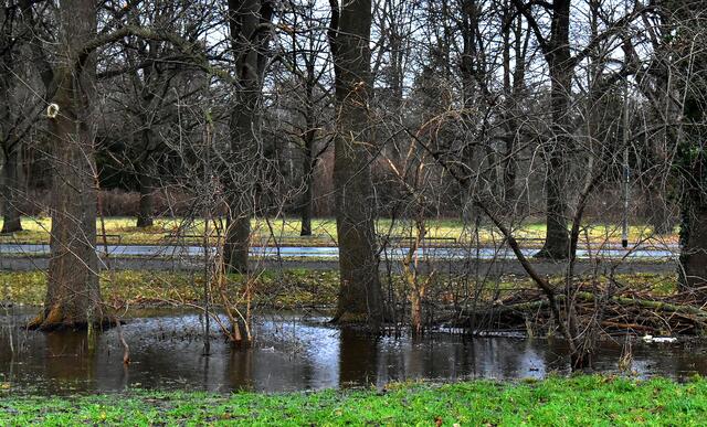 Sogar am Maschsee-Westufer stehen Teile der Grünanlagen unter Wasser
