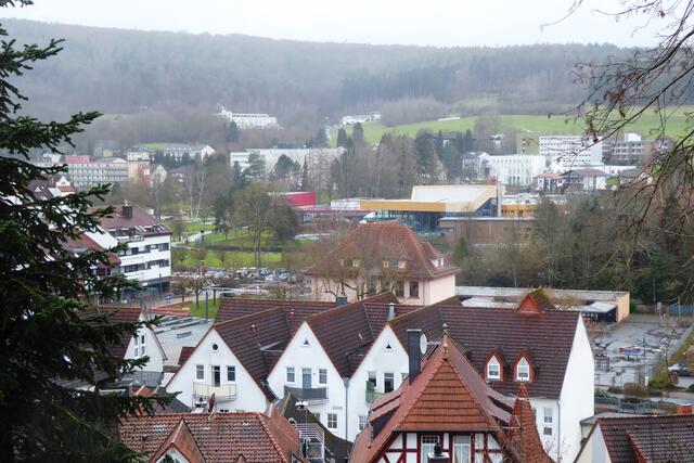 Blick auf das Kurgebiet mit Kurpark, Spessart-Therme und Kurkliniken am 01.01.2024.