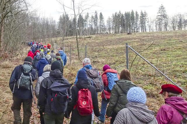 am Dessauer Weg, auch die rechte Fläche ist bereits aufgeforstet