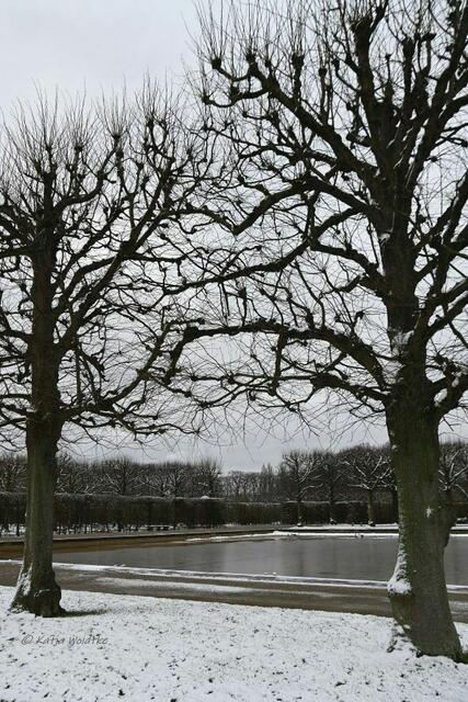 Überschwemmungen im Großen Garten Herrenhausen (Foto: Katja Woidtke)

Schwanenteich im Schnee | Foto: Katja Woidtke
