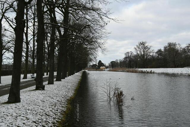 Überschwemmungen im Großen Garten Herrenhausen (Foto: Katja Woidtke)

Die Graft um den Großen Garten ist randvoll | Foto: Katja Woidtke