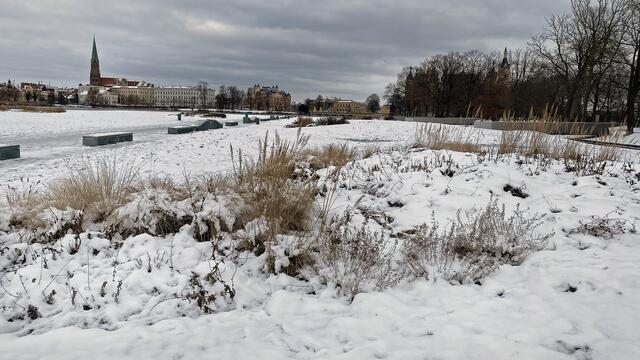 Die „Schwimmende Wiese‟ mit ihren Hügelbeeten wurde einst zur Bundesgartenschau 2009 als „Garten des 21. Jahrhunderts‟ errichtet. Foto: Helmut Kuzina 