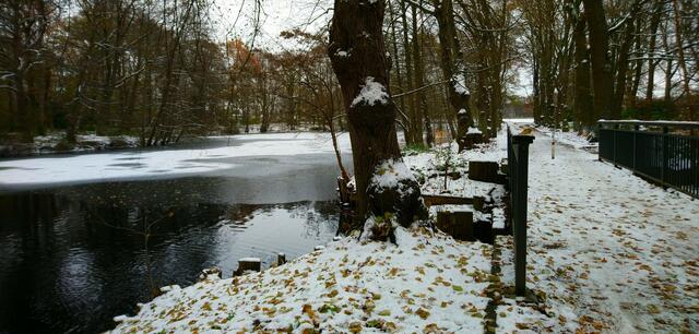 Im Langenhagener Stadtpark: Eine dünne Eisdecke hat sich auf dem Teich gebildet. | Foto: Shima Mahi