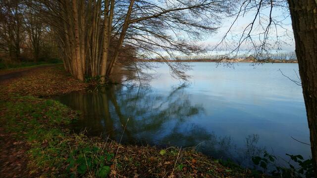 Am Wietzesee | Foto: Shima Mahi
