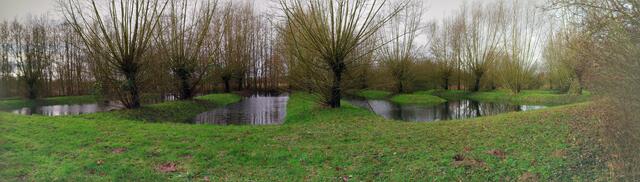 In diesen Mulden stand schon seit Jahren kein Wasser mehr. | Foto: Shima Mahi