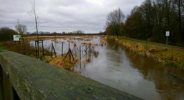 Die renaturierte Wietze ist durch die Dauerregenfälle über die Ufer getreten. | Foto: Shima Mahi