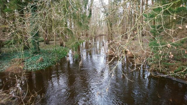 Die Auter ist sonst ein Rinnsal oder ausgetrocknet. Hier zwischen Osterwald und Resse ist sie nun ein stattlicher Fluss. | Foto: Shima Mahi