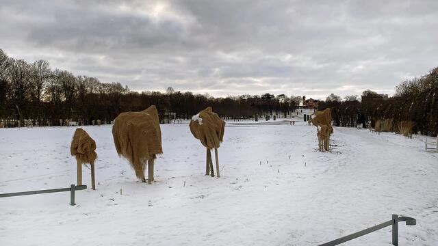 33 ha ist der Schlossgarten groß, der zu den bedeutenden barocken Gartenanlagen in Norddeutschland zählt. Foto: Helmut Kuzina