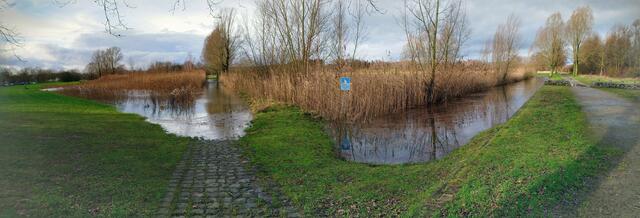 Auch der Weg durch das Biotop im Wietzepark ist überschwemmt. | Foto: Shima Mahi