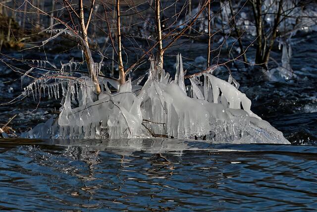 Foto: Foto: Andreas Schäfer: Ich möchte darauf hinweisen, dass meine Fotografien urheberrechtlich geschützt sind, und ohne mein schriftliches Einverständnis nicht verwendet oder auf andere Plattformen verlinkt werden dürfen. Copyright Andreas Schäfer