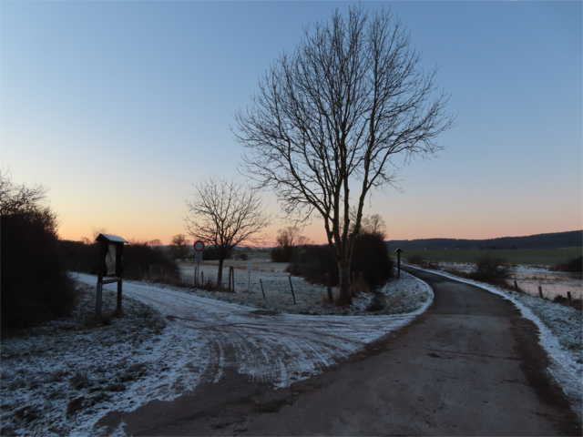 Gegenüber vom kahlen Baum befindet sich der "See", der nur in den Wintermonaten zu sehen ist. | Foto: M. A.