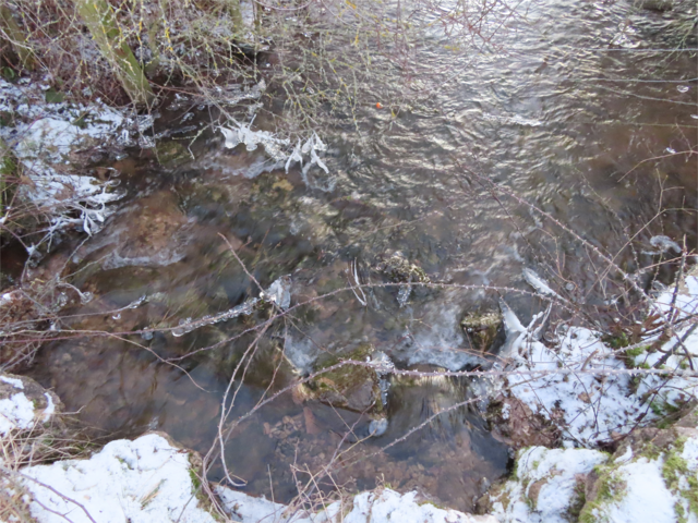 Das Wasser vom Bächlein (von den ersten Bildern) ...  | Foto: M. A.