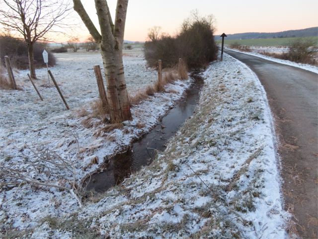 Das Bächlein, das ich ganz am Anfang fotografiert hatte, fließt am kahlen Baum entlang. Zwischen den Büschen (geradeaus) fließt es dann nach links weiter. | Foto: M. A. 