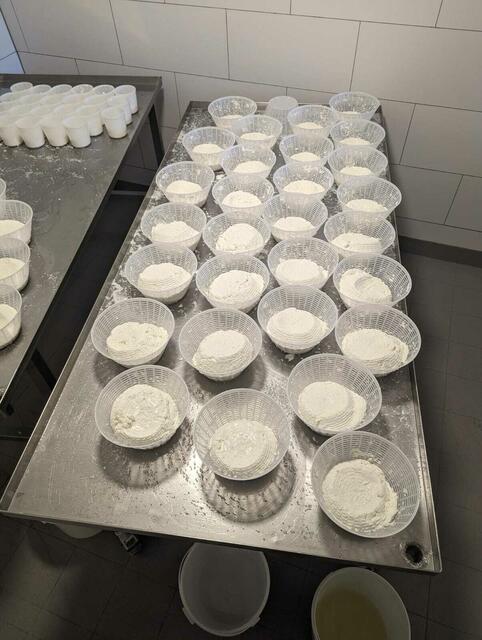 Biohof Blumenthal Ziegenweichkäse | Foto:  Maria Noe