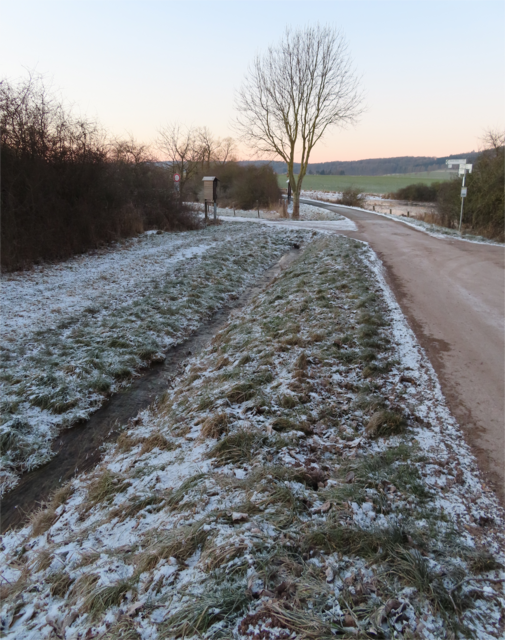 Bei dem Wegweiser (re. im Bild, gegenüber vom kahlen Baum) befindet sich der Parkplatz und ich bin ein paar Meter in die Richtung zurückgegangen, aus der ich gekommen bin. | Foto: M. A.