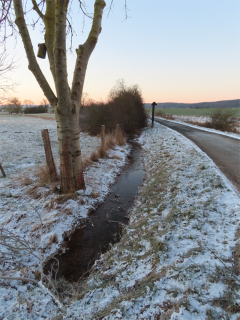 In fast jedem Baum in diesem wunderschönen Naherholungsgebiet hängen diese Nistkästen. | Foto: M. A.