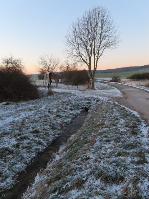 Den Weg nach links (vor dem kahlen Baum) bin ich auch schon öfter gegangen. Dieses Mal bin ich aber geradeaus gegangen