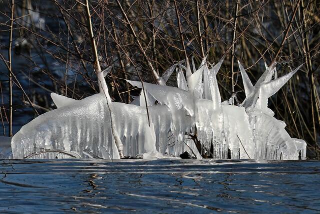 Foto: Foto: Andreas Schäfer: Ich möchte darauf hinweisen, dass meine Fotografien urheberrechtlich geschützt sind, und ohne mein schriftliches Einverständnis nicht verwendet oder auf andere Plattformen verlinkt werden dürfen. Copyright Andreas Schäfer