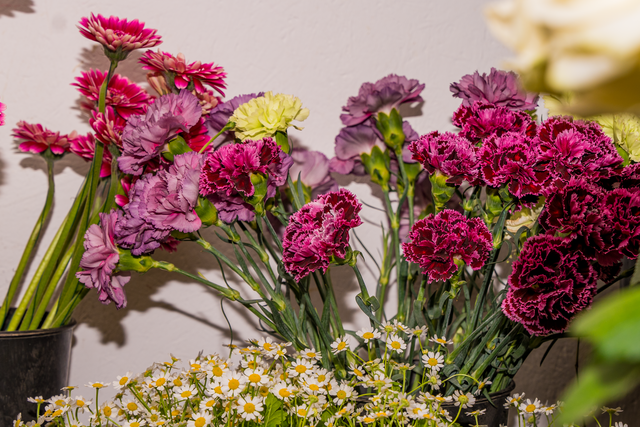 Blumen Eichele Friedberg | Foto: FSeventfoto