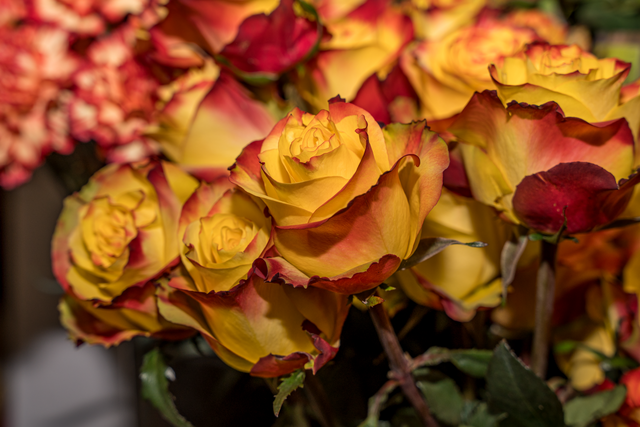 Blumen Eichele Friedberg | Foto: FSeventfoto