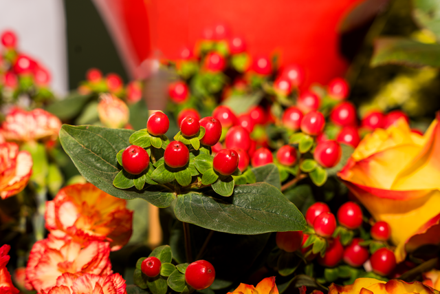 Blumen Eichele Friedberg | Foto: FSeventfoto