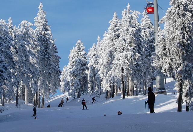 Ob Abfahrtski oder Skilanglauf. Beides macht Spaß.