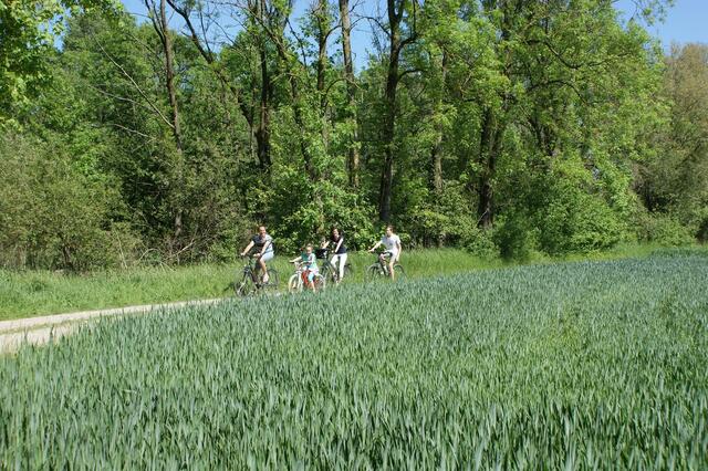 Die Wege rund um Ellgau eignen sich sehr gut für kleine Radtouren. | Foto: Bürgermeisterin Christine Gumpp