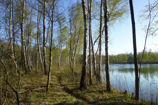 Im Auwald Nähe Badeweiher kann man die Natur genießen. | Foto: Bürgermeisterin Christine Gumpp