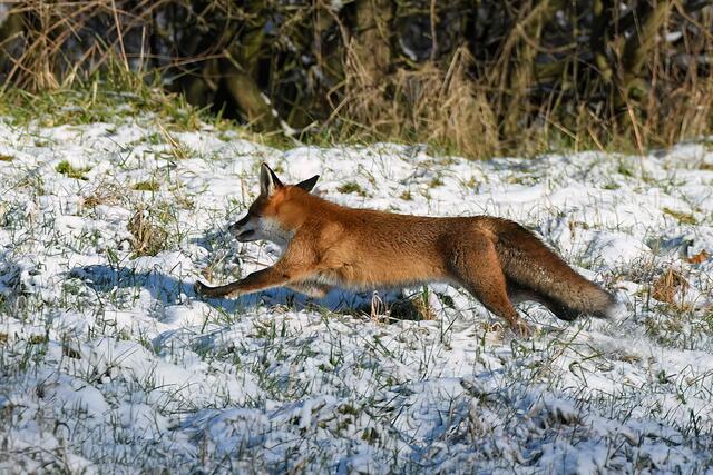 Foto: Copyright Andreas Schäfer