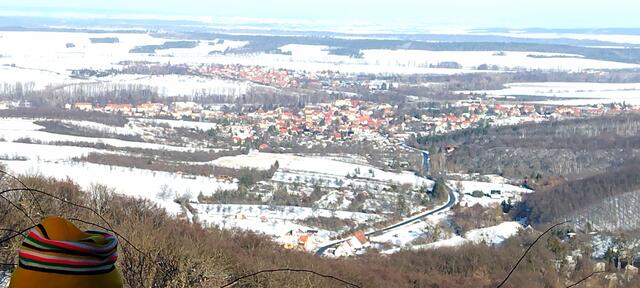 Wolfsbergblick auf das nördliche Harzvorland mit Neinstedt und Weddersleben