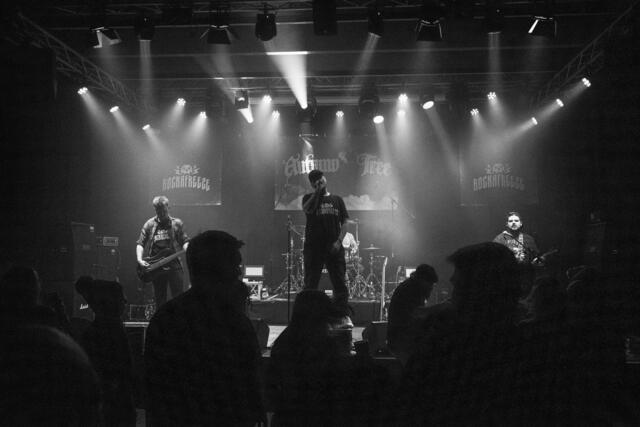 Foto: Viktoria Kratzer
