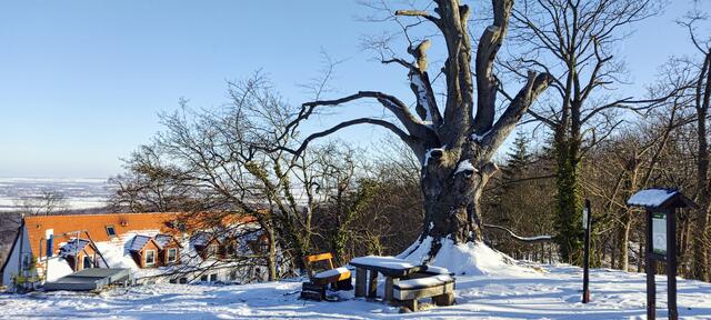 auf dem Plateau der Hauptburg 