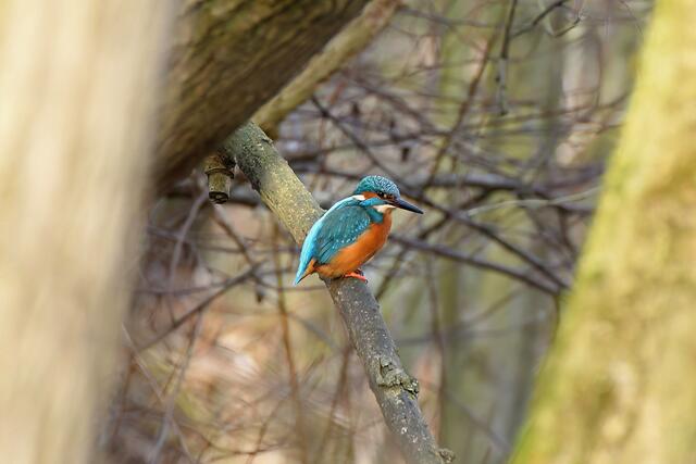 Foto: Copyright Andreas Schäfer