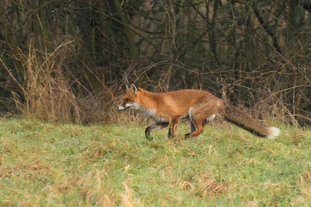 Foto: Copyright Andreas Schäfer