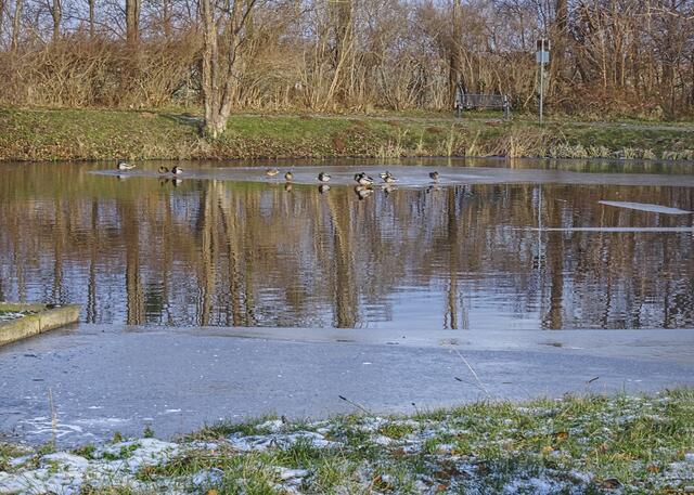 Dorfteich in Opperode