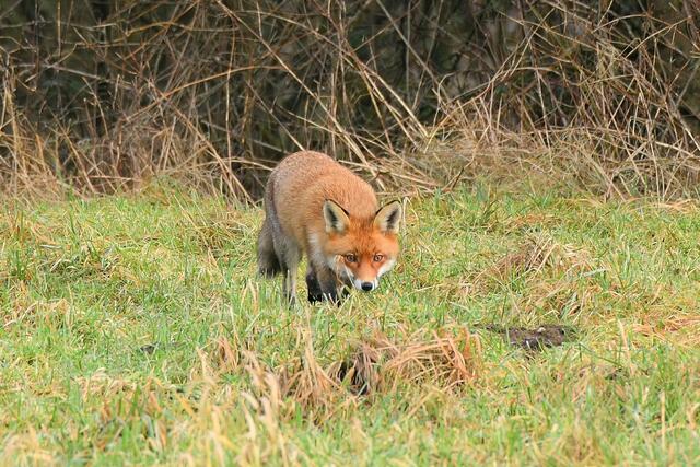 Foto: Copyright Andreas Schäfer