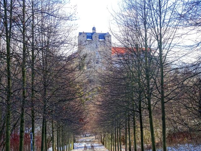 Schlosspark mit Schloss