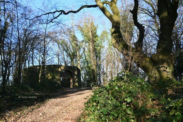 Mühlenmontag (Foto: Katja Woidtke)

Ruine des Königlich-Hannoverschen Galerieholländers auf dem Mühlenberg in Rehburg | Foto: Katja Woidtke
