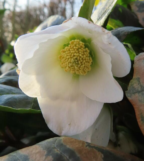 Original-Foto | Foto: M. A.