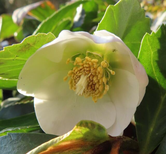 Original-Foto | Foto: M. A.