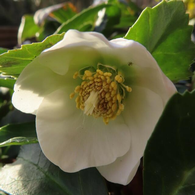 Original-Foto | Foto: M. A.