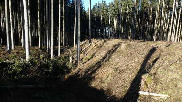 Ringwallanlage | Foto: Dr. Hubert Raab