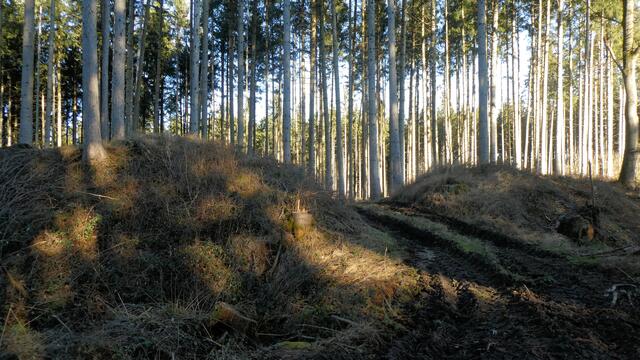 Moderner Zugang zur Ringwallanlage | Foto: Dr. Hubert Raab