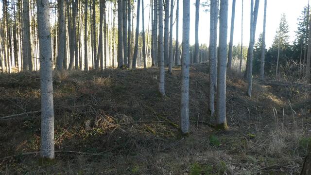 Ringwallanlage | Foto: Dr. Hubert Raab